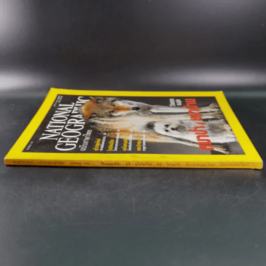 National Geographic ปีที่ 1 ฉบับที่ 6 ม.ค.2545 หมาป่าสู่หมาบ้าน รูปที่ 3