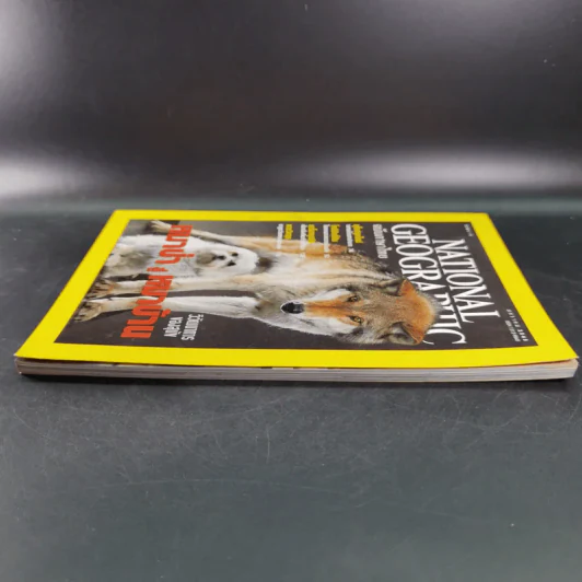 National Geographic ปีที่ 1 ฉบับที่ 6 ม.ค.2545 หมาป่าสู่หมาบ้าน รูปที่ 5