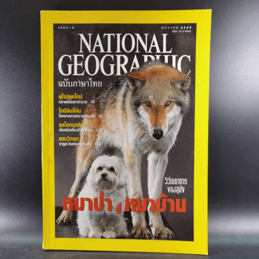 National Geographic ปีที่ 1 ฉบับที่ 6 ม.ค.2545 หมาป่าสู่หมาบ้าน รูปที่ 1