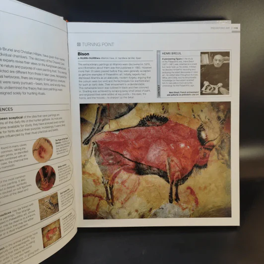 The Illustrated Story of Art รูปที่ 16