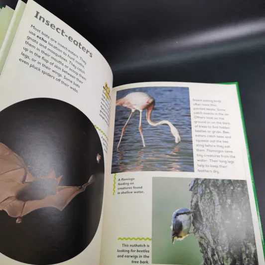 Bat & Bird - Rod Theodorou and Carole Telford รูปที่ 11