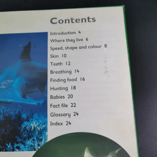 Shark & Dolphin - Rod Theodorou and Carole Telford รูปที่ 11
