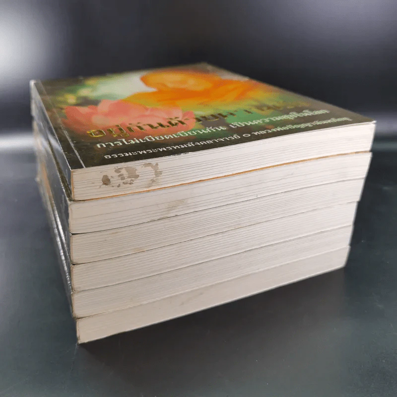 หนังสือธรรมะ หลวงพ่อปัญญานันทภิกขุ ขายรวม 6 เล่ม รูปที่ 3
