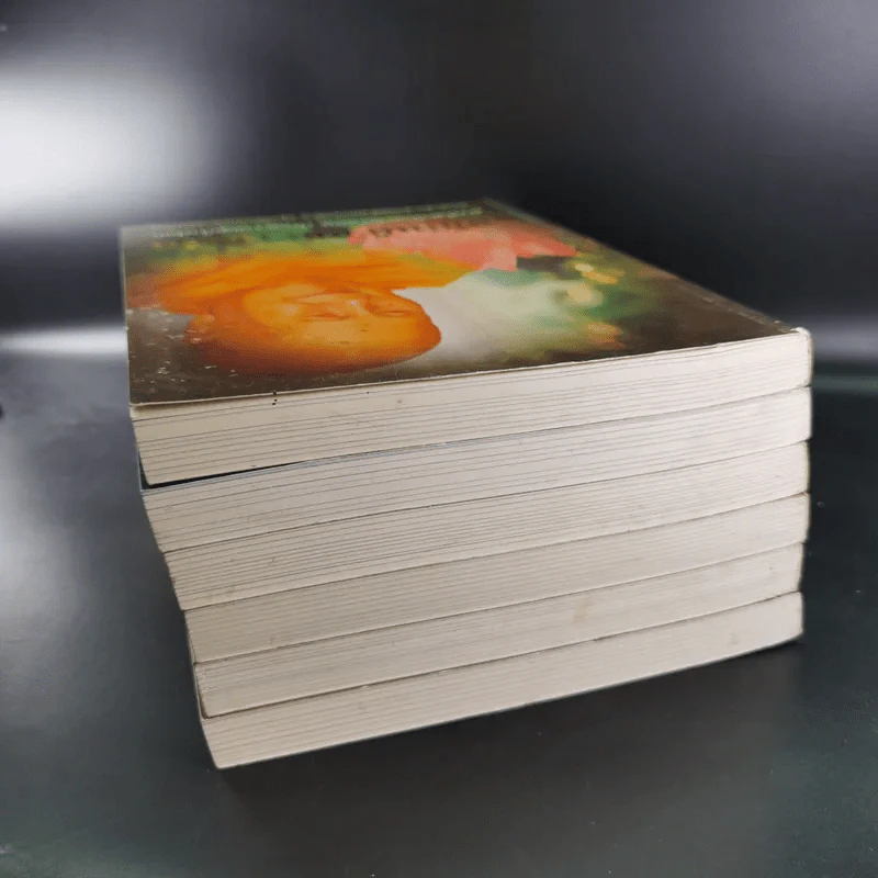 หนังสือธรรมะ หลวงพ่อปัญญานันทภิกขุ ขายรวม 6 เล่ม รูปที่ 5