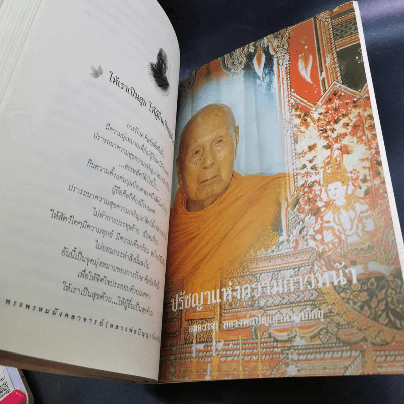 หนังสือธรรมะ หลวงพ่อปัญญานันทภิกขุ ขายรวม 6 เล่ม รูปที่ 31