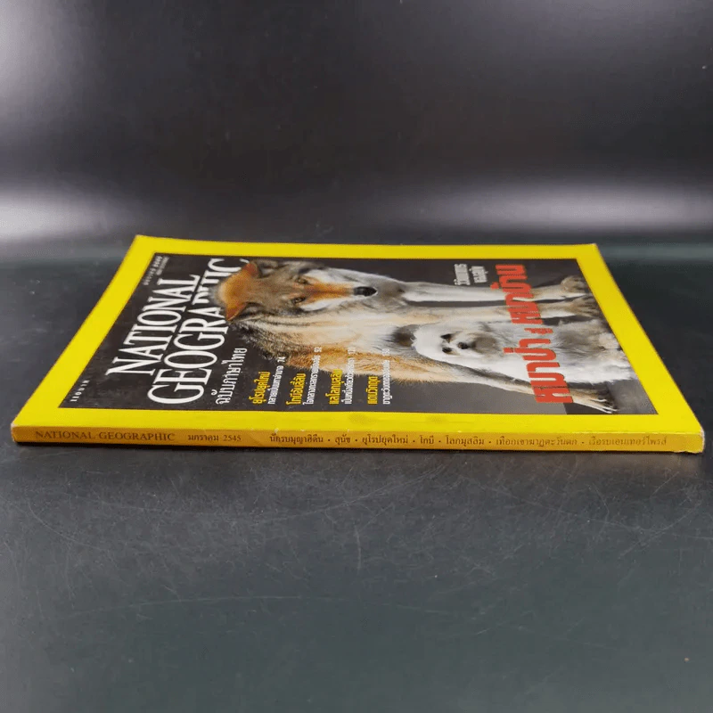 National Geographic ปีที่ 1 ฉบับที่ 6 ม.ค.2545 หมาป่าสู่หมาบ้าน รูปที่ 3