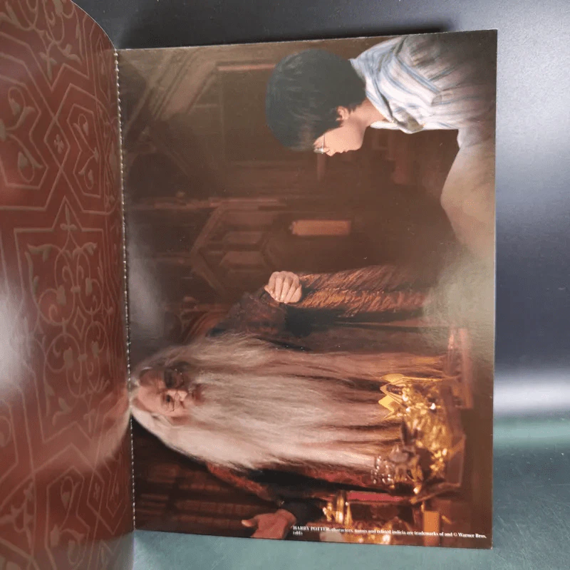 Harry Potter and the Sorcerer's Stone โปสเตอร์แฮร์รี่ รูปที่ 10