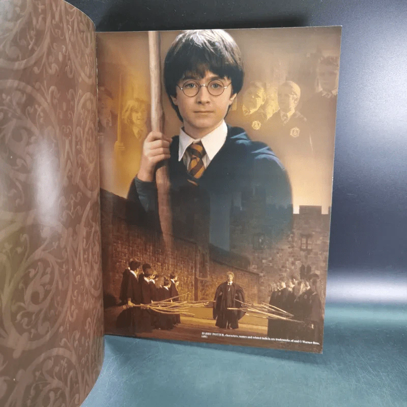 Harry Potter and the Sorcerer's Stone โปสเตอร์แฮร์รี่ รูปที่ 9