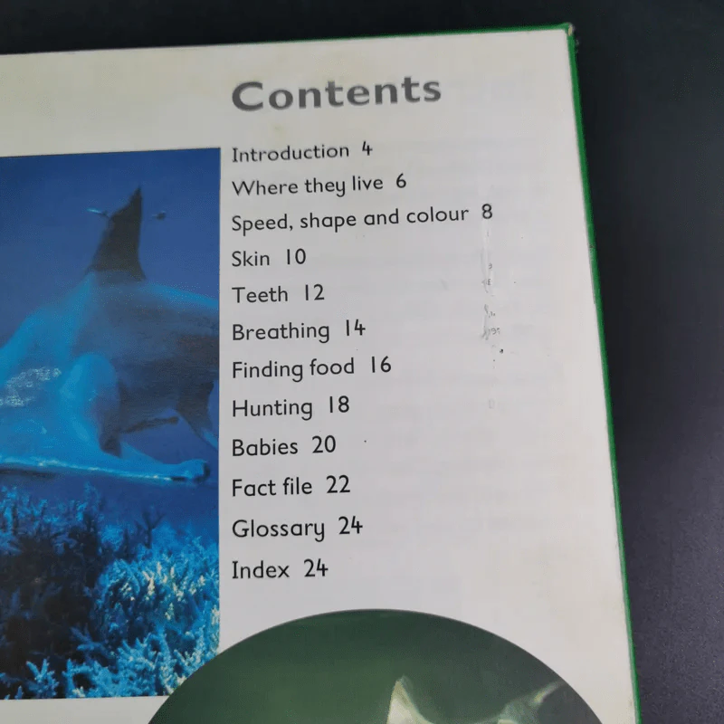 Shark & Dolphin - Rod Theodorou and Carole Telford รูปที่ 11