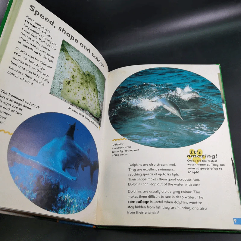 Shark & Dolphin - Rod Theodorou and Carole Telford รูปที่ 12