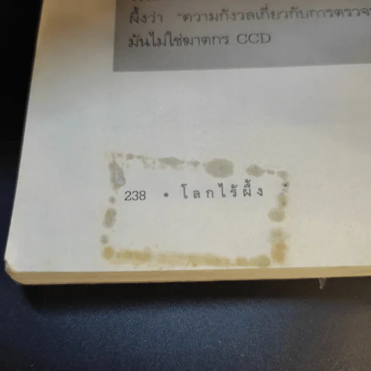 A World Without Bees โลกไร้ผึ้ง - อลิสัน เบนจามินและไบรอัน แมกคัลลัม รูปที่ 14