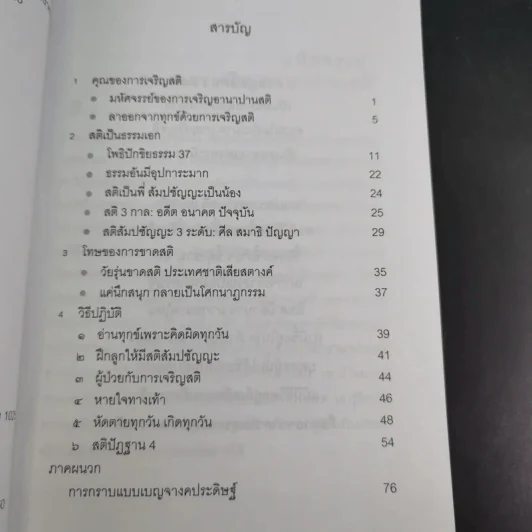 สติเป็นธรรมเอก - พระอาจารย์มิตซูโอะ คเวสโก รูปที่ 8