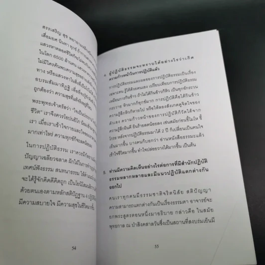 อีกหนึ่งมุมมอง - รวมบทสัมภาษณ์พระอ.มิตซูโอะ คเวสโก รูปที่ 12