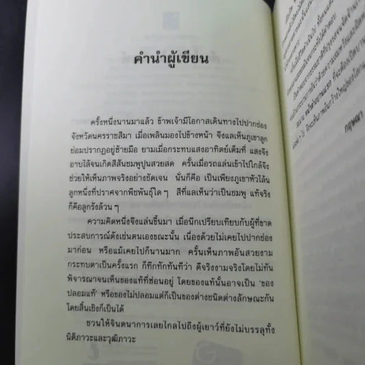 หน้าต่างบานแรก - กฤษณา อโศกสิน รูปที่ 11