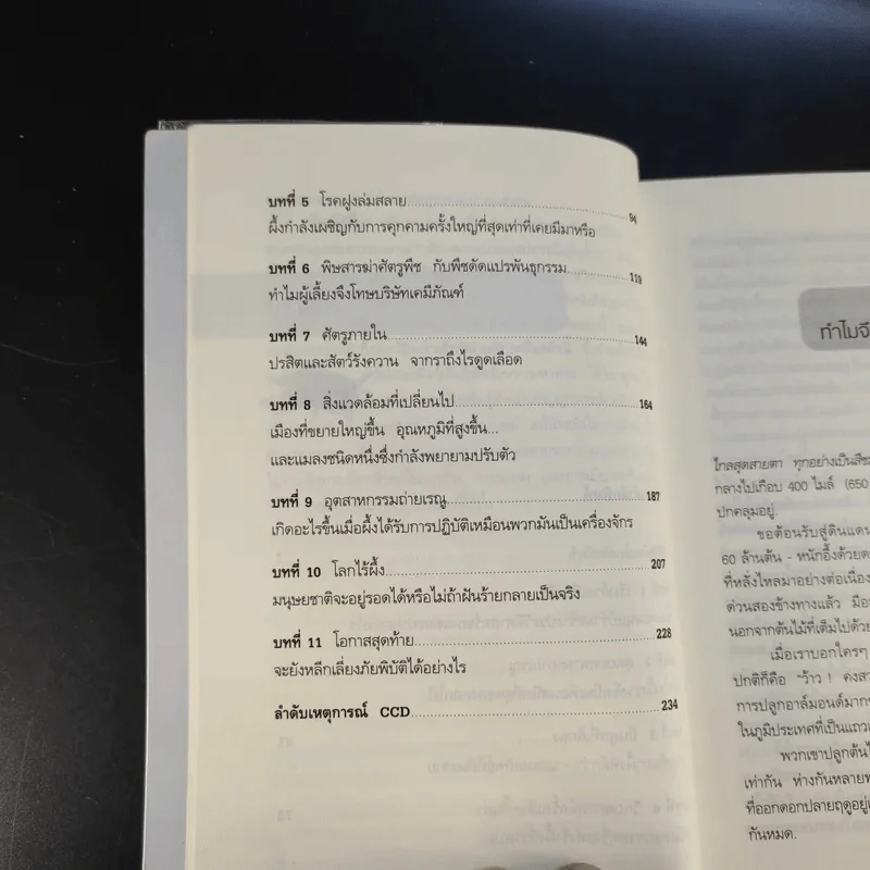 A World Without Bees โลกไร้ผึ้ง - อลิสัน เบนจามินและไบรอัน แมกคัลลัม รูปที่ 12