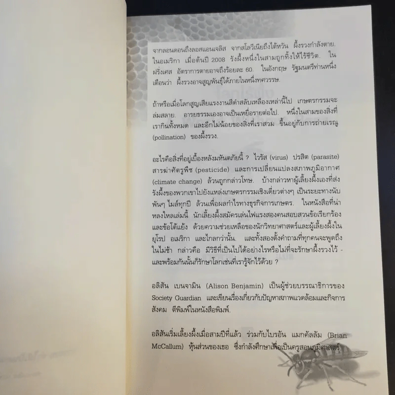 A World Without Bees โลกไร้ผึ้ง - อลิสัน เบนจามินและไบรอัน แมกคัลลัม รูปที่ 8