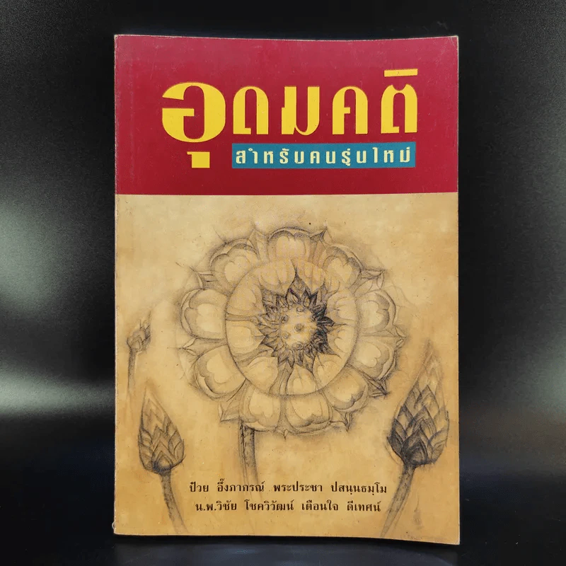 อุดมคติ สำหรับคนรุ่นใหม่ รูปที่ 1
