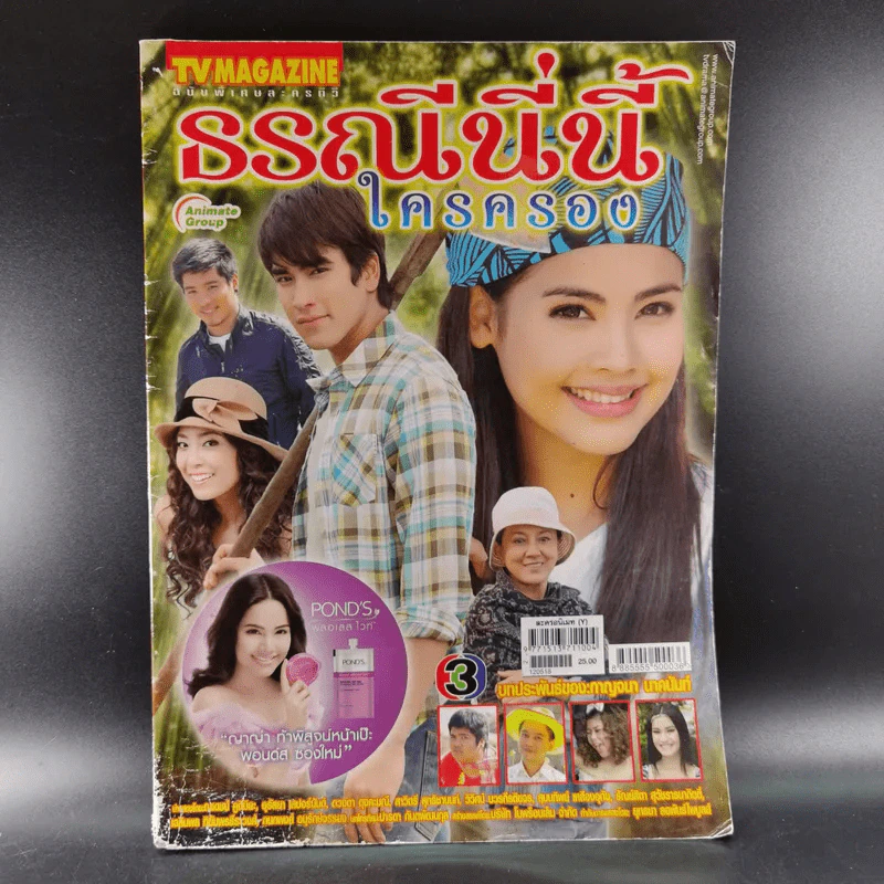 ธรณีนี่นี้ ใครครอง หนังสือเรื่องย่อละคร ทีวีแม็กกาซีน รูปที่ 1