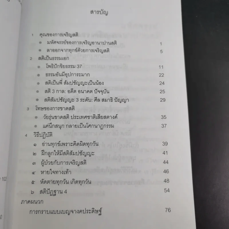 สติเป็นธรรมเอก - พระอาจารย์มิตซูโอะ คเวสโก รูปที่ 8