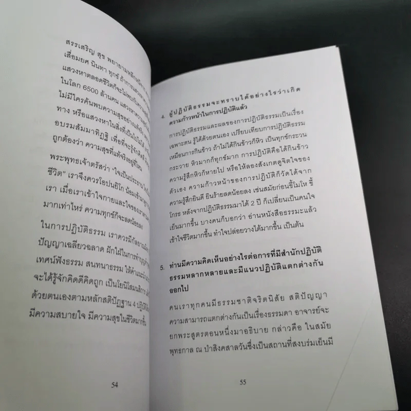 อีกหนึ่งมุมมอง - รวมบทสัมภาษณ์พระอ.มิตซูโอะ คเวสโก รูปที่ 12