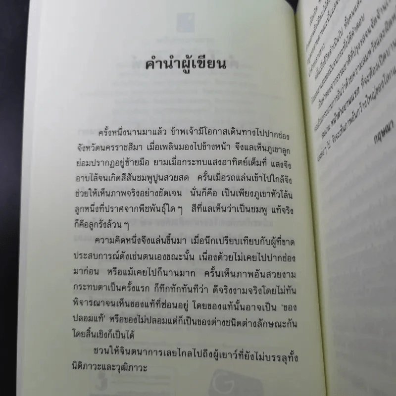 หน้าต่างบานแรก - กฤษณา อโศกสิน รูปที่ 11