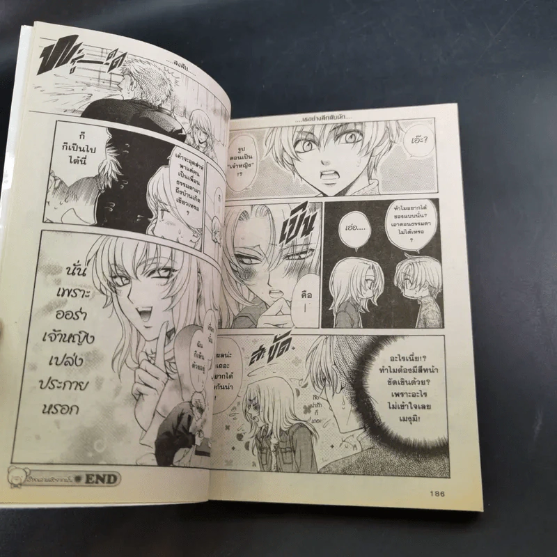 Princess Princess เขาให้ผมเป็นเจ้าหญิงครับ 5 เล่มจบ + ภาค Plus เล่มเดียวจบ รูปที่ 15