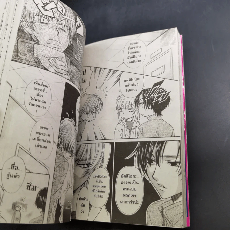 Princess Princess เขาให้ผมเป็นเจ้าหญิงครับ 5 เล่มจบ + ภาค Plus เล่มเดียวจบ รูปที่ 20