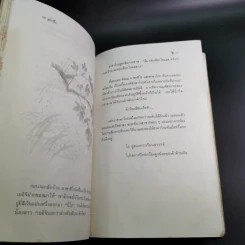 ซาดาโกะกับนกกระเรียนพันตัว - อีลิเนอร์ เคอร์ รูปที่ 13