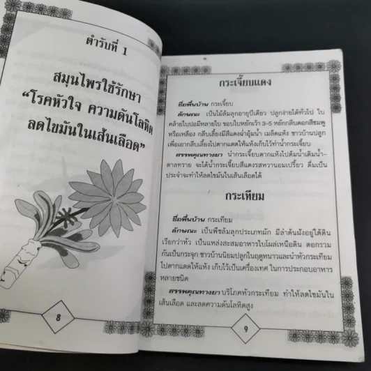 หายเจ็บไข้ด้วยยาสมุนไพร - ศิวัช สอาดถิ่น รูปที่ 13