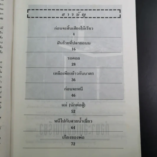 หนีไปกับสายน้ำเชี่ยว - ครูตุ้ม มูลนิธิสร้างสรรค์เด็ก (กิตติสัค สิงขโรทัย) รูปที่ 8