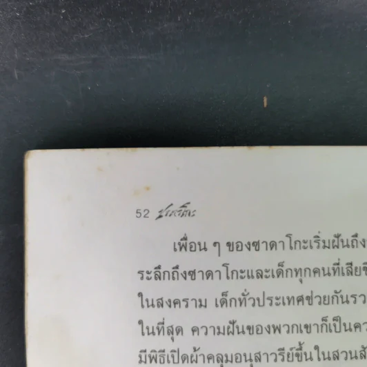 ซาดาโกะกับนกกระเรียนพันตัว - อีลิเนอร์ เคอร์ รูปที่ 16