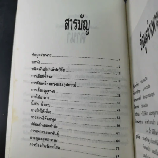 นกเลิฟเบิร์ด Lovebirds - พิมพ์กานต์ เหลืองทองคำ รูปที่ 10