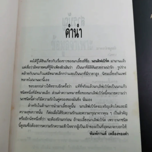 นกเลิฟเบิร์ด Lovebirds - พิมพ์กานต์ เหลืองทองคำ รูปที่ 9
