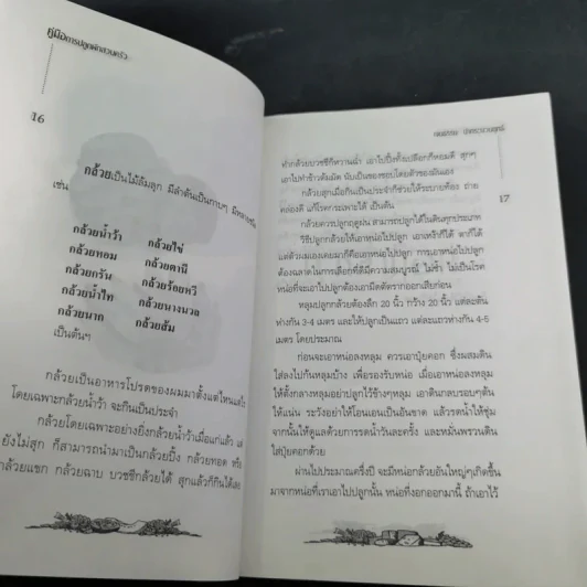 คู่มือการปลูกผักสวนครัว เล่ม 1 - เจนธรรม นำกระบวนยุทธ์ รูปที่ 13
