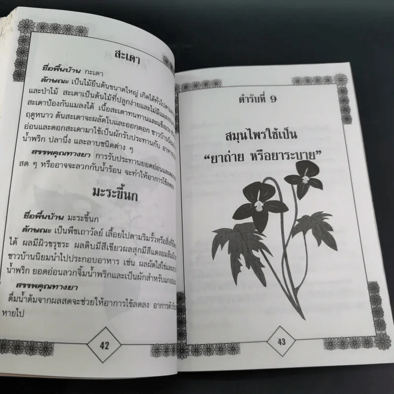 หายเจ็บไข้ด้วยยาสมุนไพร - ศิวัช สอาดถิ่น รูปที่ 14