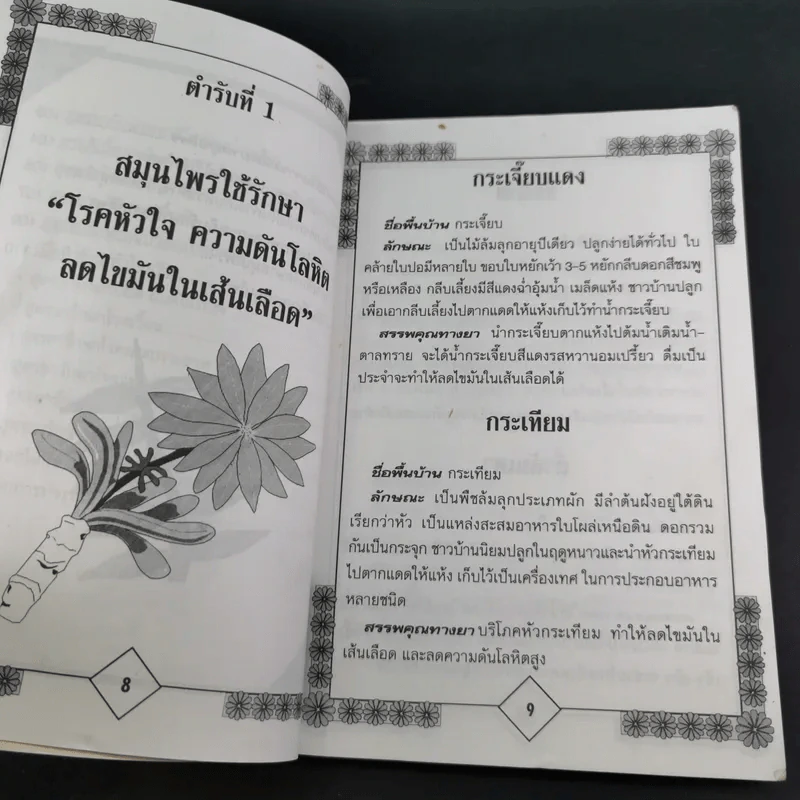 หายเจ็บไข้ด้วยยาสมุนไพร - ศิวัช สอาดถิ่น รูปที่ 13
