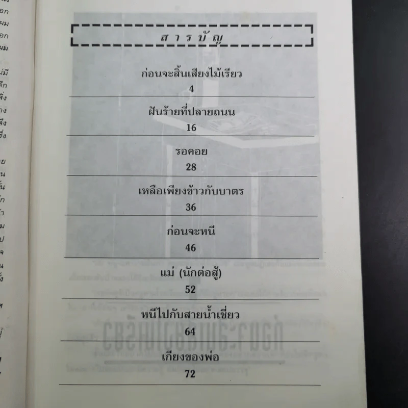หนีไปกับสายน้ำเชี่ยว - ครูตุ้ม มูลนิธิสร้างสรรค์เด็ก (กิตติสัค สิงขโรทัย) รูปที่ 8