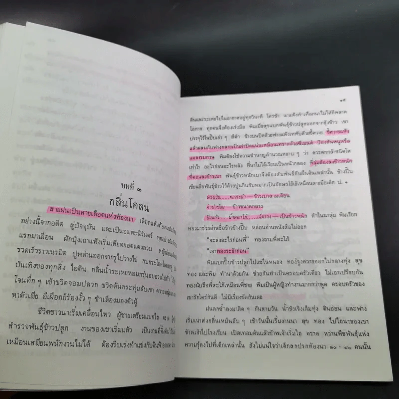 หนังสือส่งเสริมการอ่าน หนุ่มชาวนา ระดับมัธยมศึกษา รูปที่ 12