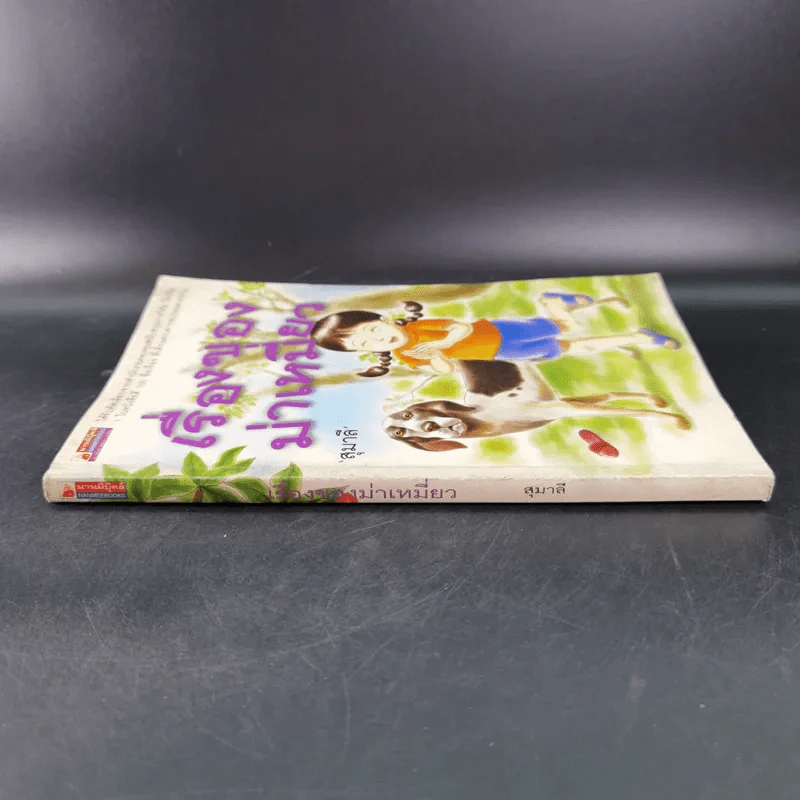 เรื่องของม่าเหมี่ยว - สุมาลี รูปที่ 4
