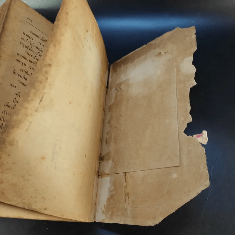 บัลลังก์เลือด The Prisoner of Zenda and Rupert of Hentzau - Anthony Hope รูปที่ 13