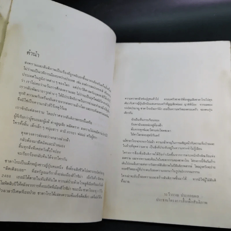 ซาดาโกะกับนกกระเรียนพันตัว - อีลิเนอร์ เคอร์ รูปที่ 10