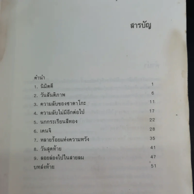 ซาดาโกะกับนกกระเรียนพันตัว - อีลิเนอร์ เคอร์ รูปที่ 9