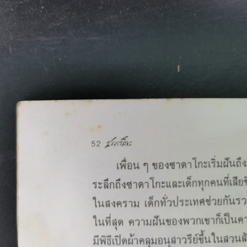 ซาดาโกะกับนกกระเรียนพันตัว - อีลิเนอร์ เคอร์ รูปที่ 16