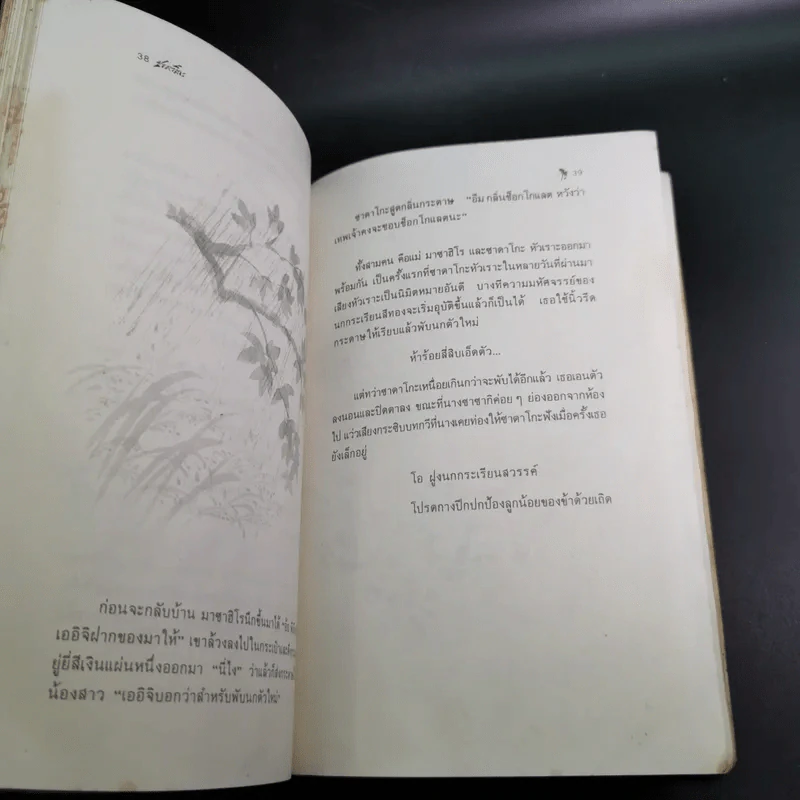 ซาดาโกะกับนกกระเรียนพันตัว - อีลิเนอร์ เคอร์ รูปที่ 13