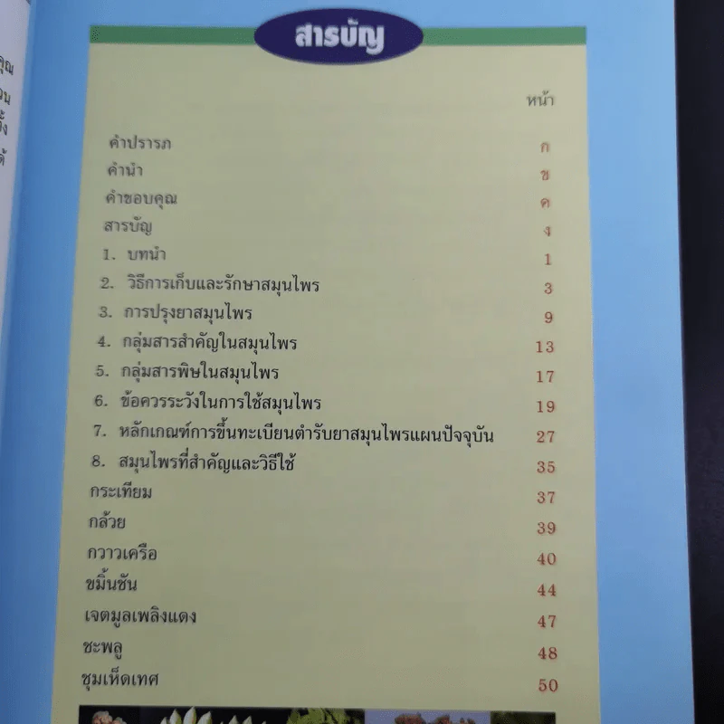 สมุนไพร : การใช้อย่างถูกวิธี - สถาบันวิจัยวิทยาศาสตร์และเทคโนโลยีแห่งประเทศไทย (วท.) รูปที่ 10