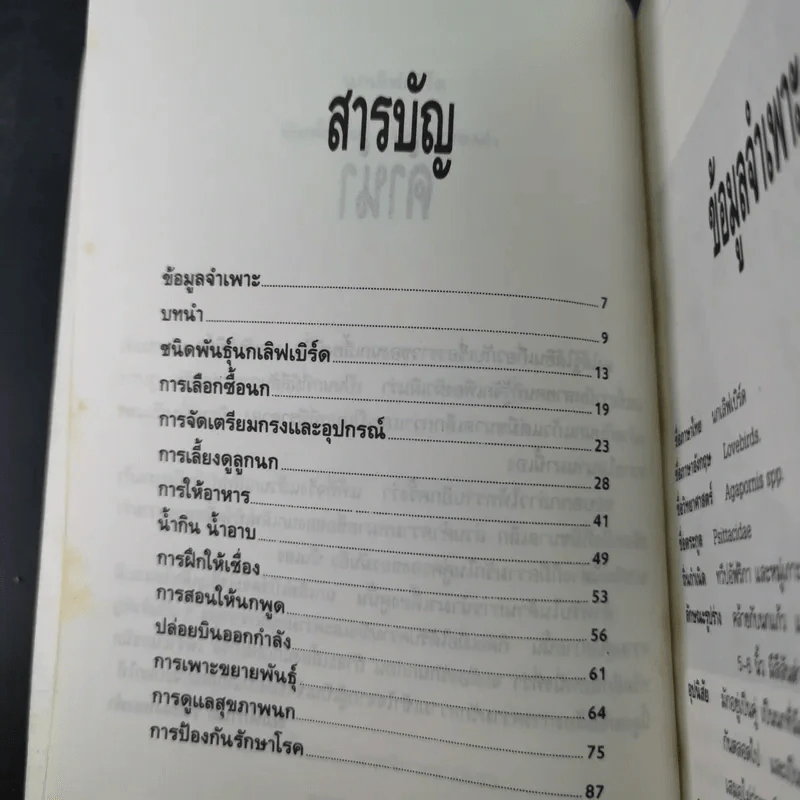 นกเลิฟเบิร์ด Lovebirds - พิมพ์กานต์ เหลืองทองคำ รูปที่ 10