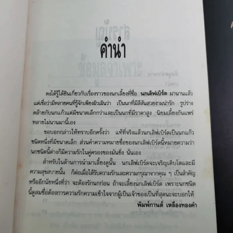 นกเลิฟเบิร์ด Lovebirds - พิมพ์กานต์ เหลืองทองคำ รูปที่ 9