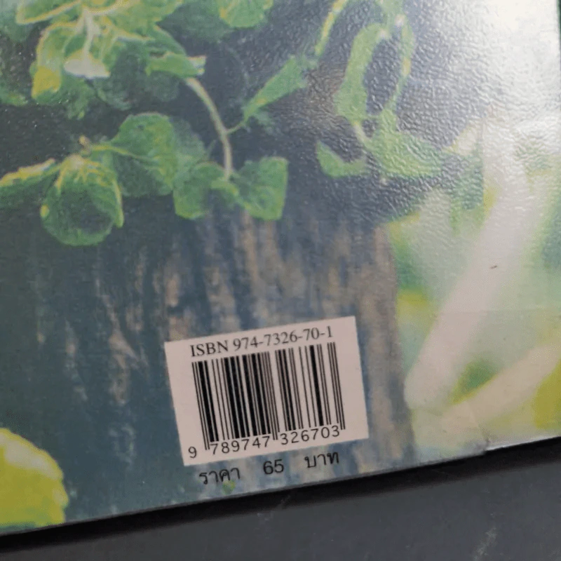 คู่มือการปลูกผักสวนครัว เล่ม 1 - เจนธรรม นำกระบวนยุทธ์ รูปที่ 7