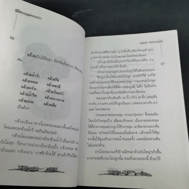 คู่มือการปลูกผักสวนครัว เล่ม 1 - เจนธรรม นำกระบวนยุทธ์ รูปที่ 13