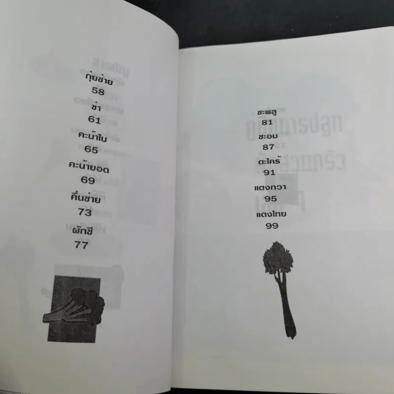 คู่มือการปลูกผักสวนครัว เล่ม 1 - เจนธรรม นำกระบวนยุทธ์ รูปที่ 12